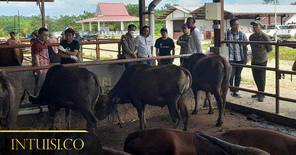 Desa Margahayu Swasembada Pangan Di Tengah Lahan Reklamasi