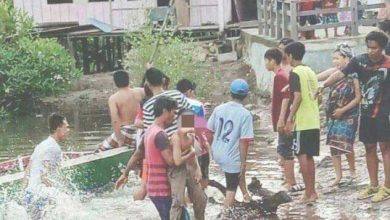 Photo of Remaja SMP di Bontang Lolos dari Mulut Buaya setelah Melawan Balik dengan Tangan Kosong