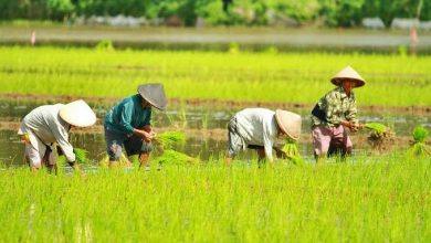 Photo of Asa Kukar Maksimalkan Reforma Agraria