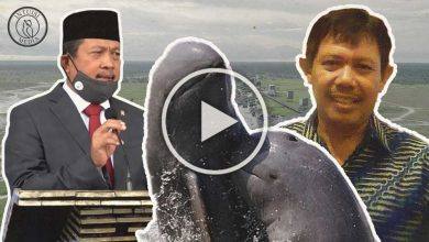 Photo of Video: Kukar Jadi Wadah Konservasi Pesut Mahakam