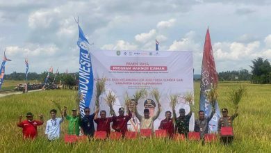 Photo of Petani Makmur Idaman Dorong Pertanian Berkelanjutan di Kukar