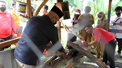 Photo of Pemkab Kukar Salurkan 10 Ekor Luwak untuk Petani Kopi di Marangkayu