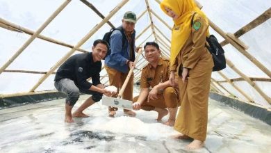 Photo of Petani Garam di Kukar Butuh Tenaga Ahli untuk Inovasi