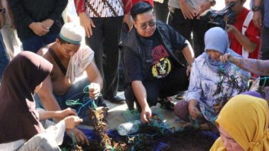 Photo of Rendi Solihin Beri Bantuan Bibit Rumput Laut untuk Nelayan Samboja