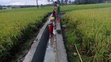 Photo of Irigasi 6 Km di Desa Loh Sumber Rampung, Dukung Program Lumbung Pangan Kukar