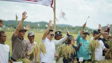 Photo of Komitmen Kukar Jadi Lumbung Pangan, Anggarkan Rp700 Miliar untuk Dukung Petani