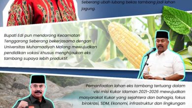 Photo of INFOGRAFIS: Eks Tambang Jadi Lahan Jagung, Edi Damansyah Optimistis Ubah Stigma Negatif