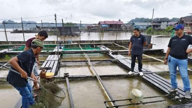 Photo of Perikanan Loa Kulu Meningkat, Pemkab Kukar Dukung Pengembangan Desa-Desa