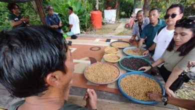 Photo of Pemkab Kukar Gandeng 12 Perusahaan Tambang Bangun Rest Area UMKM di Desa Prangat