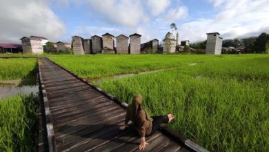 Photo of Pemkab Kukar Percepat Pemetaan Lahan Pertanian di Hulu Mahakam